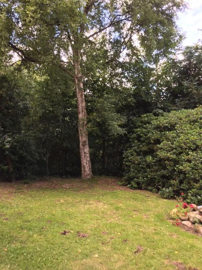 Muehlenweg- Tante Lise Appartement Süderlügum Buitenkant foto